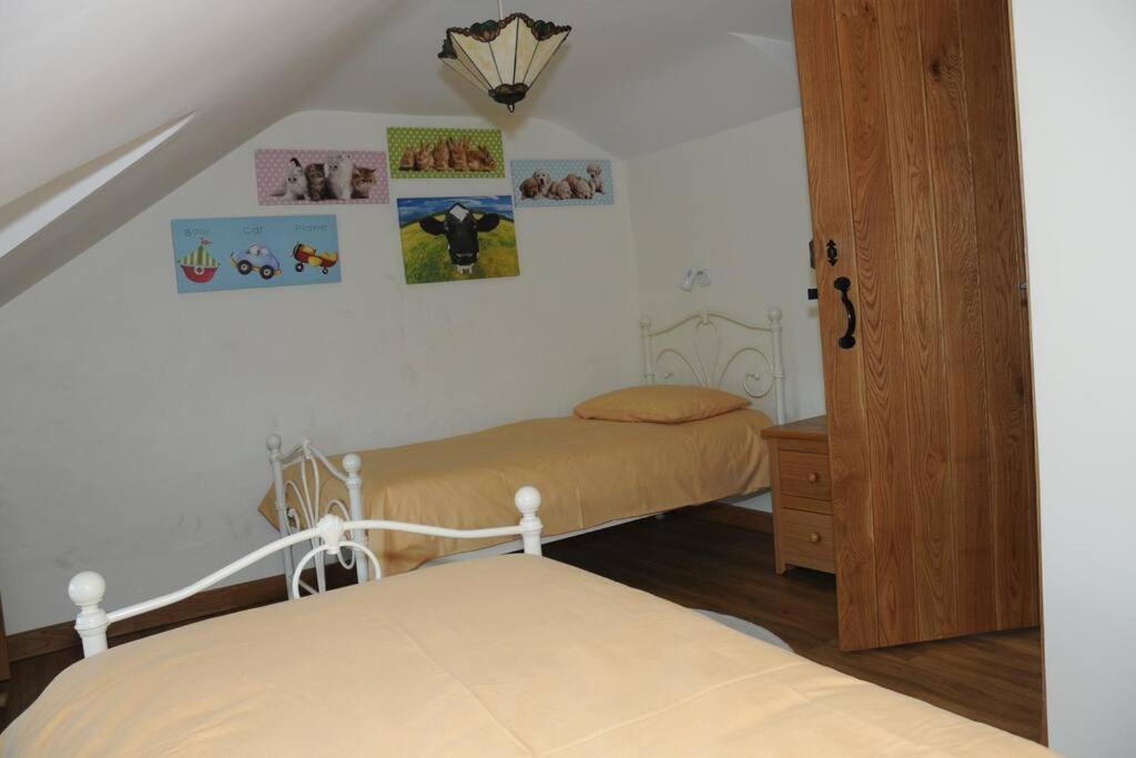 Ty-Hapus Cottage Jordanston Extérieur photo